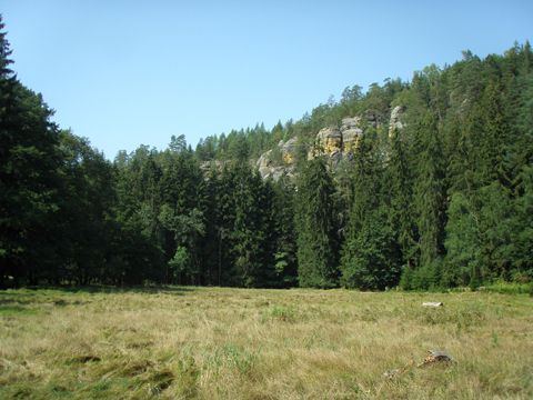 Foto 46